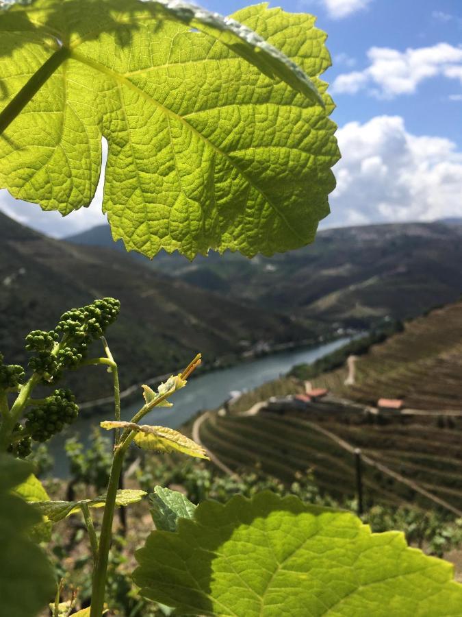 Hostel Douro Backpackers Pinhão Exterior photo