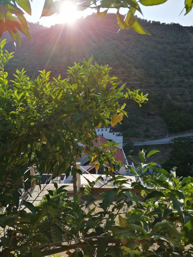 Hostel Douro Backpackers Pinhão Exterior photo